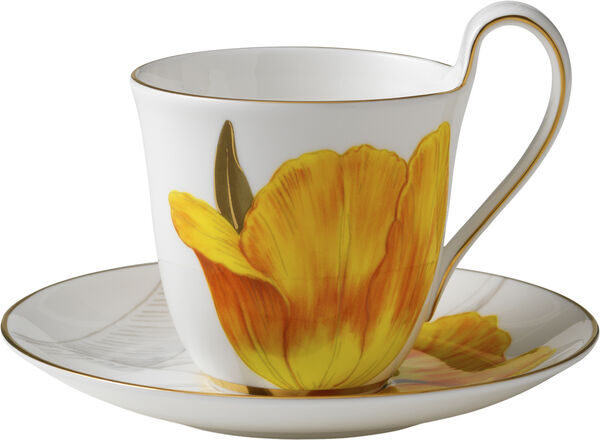 Flora højhanks- og underkop tulipan