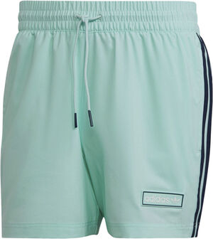 swimshorts