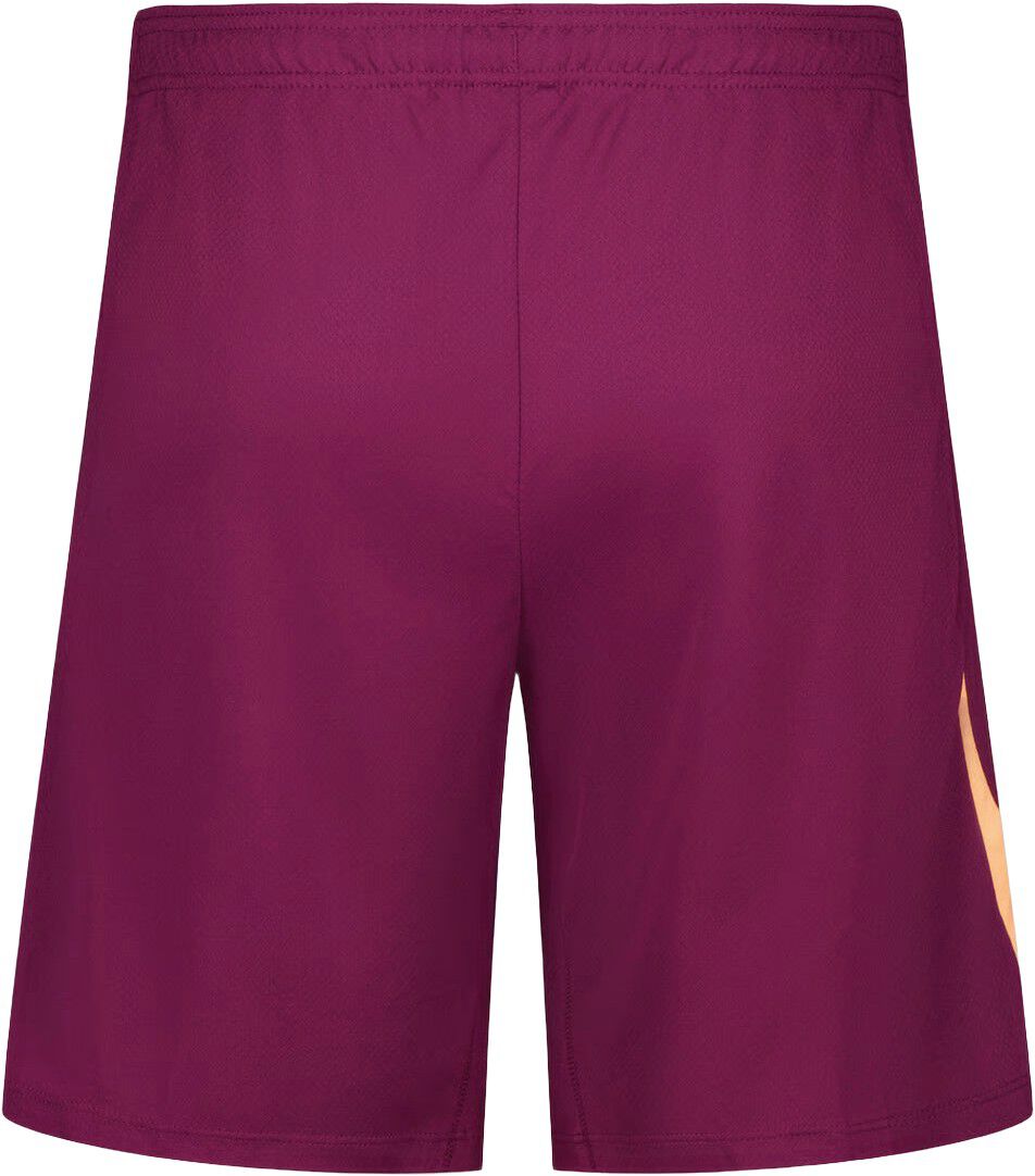 Strike Dri-Fit Shorts