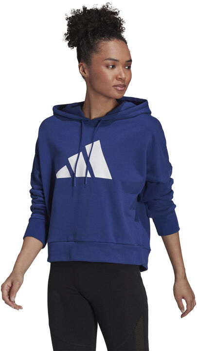 Sportswear Future Icons hættetrøje