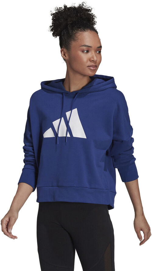 Sportswear Future Icons hættetrøje