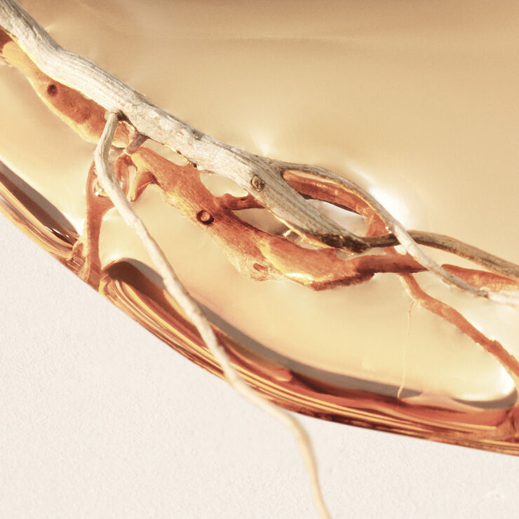 HUGO BOSS Alive Intense Eau de parfum