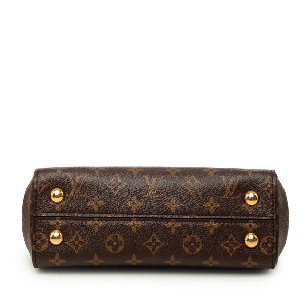 Louis Vuitton Cluny