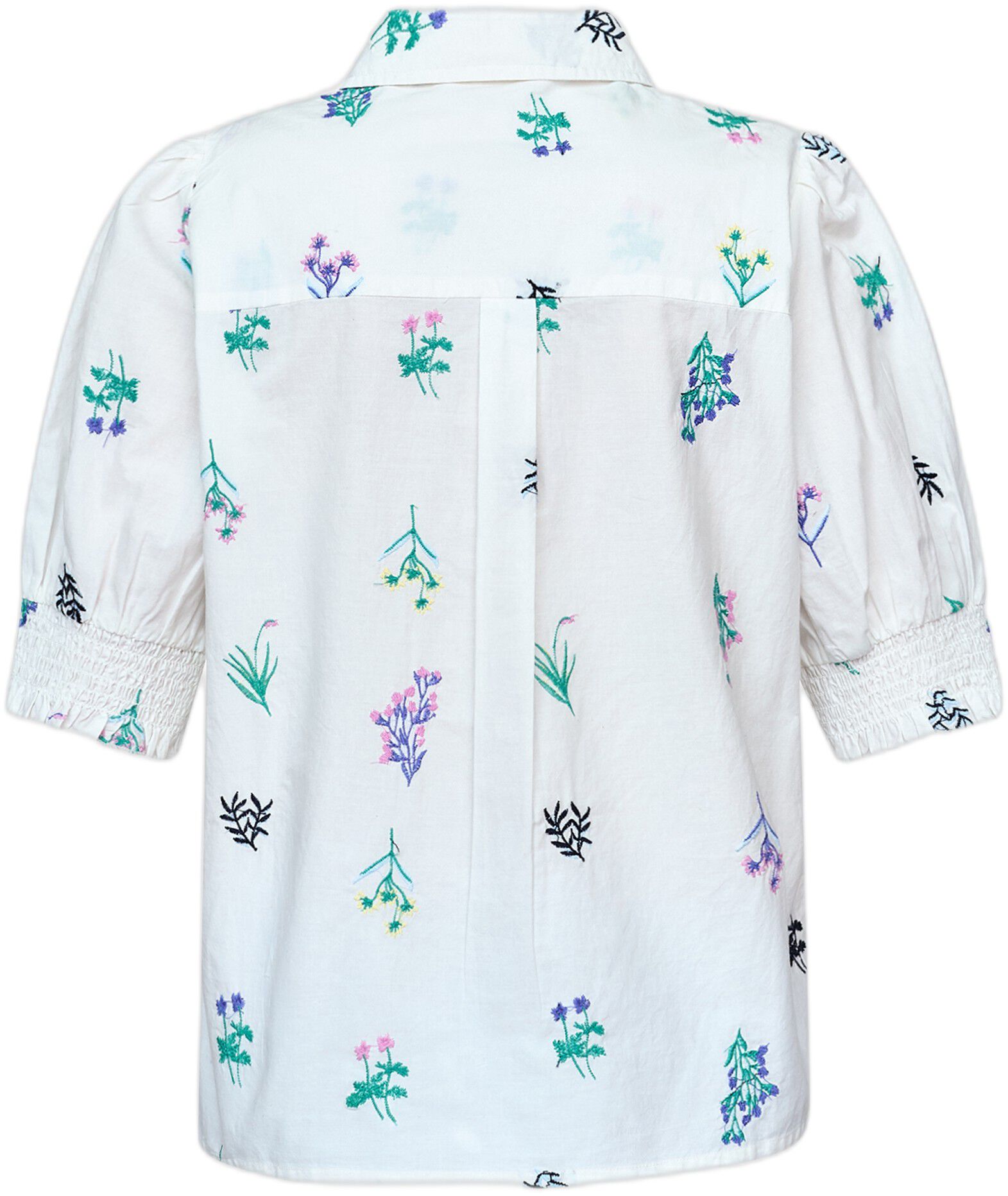ISOLA-SS16