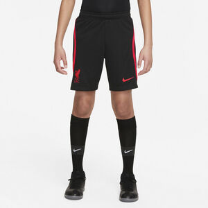 Liverpool Fc Strike Dri Fit Shorts