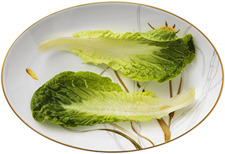 Flora 26 cm. fad - Mælkebøtte