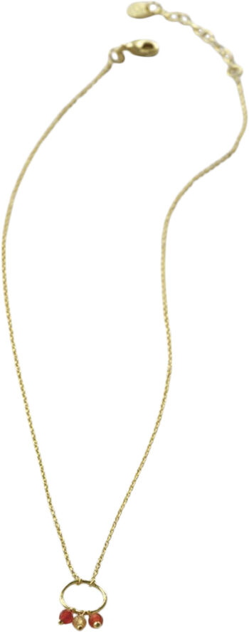 Sentiment Carnelian Citrine Necklace GP