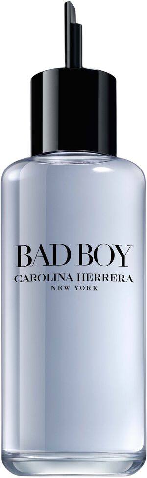 Bad Boy