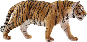 Sch Tiger