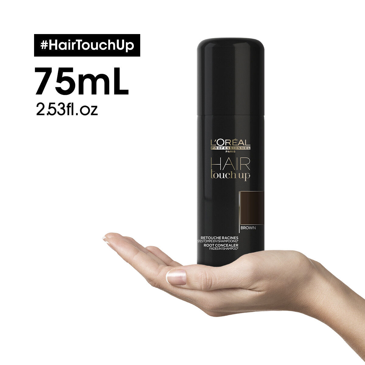 L'Or&eacute;al Professionnel Hair Touch Up Brown