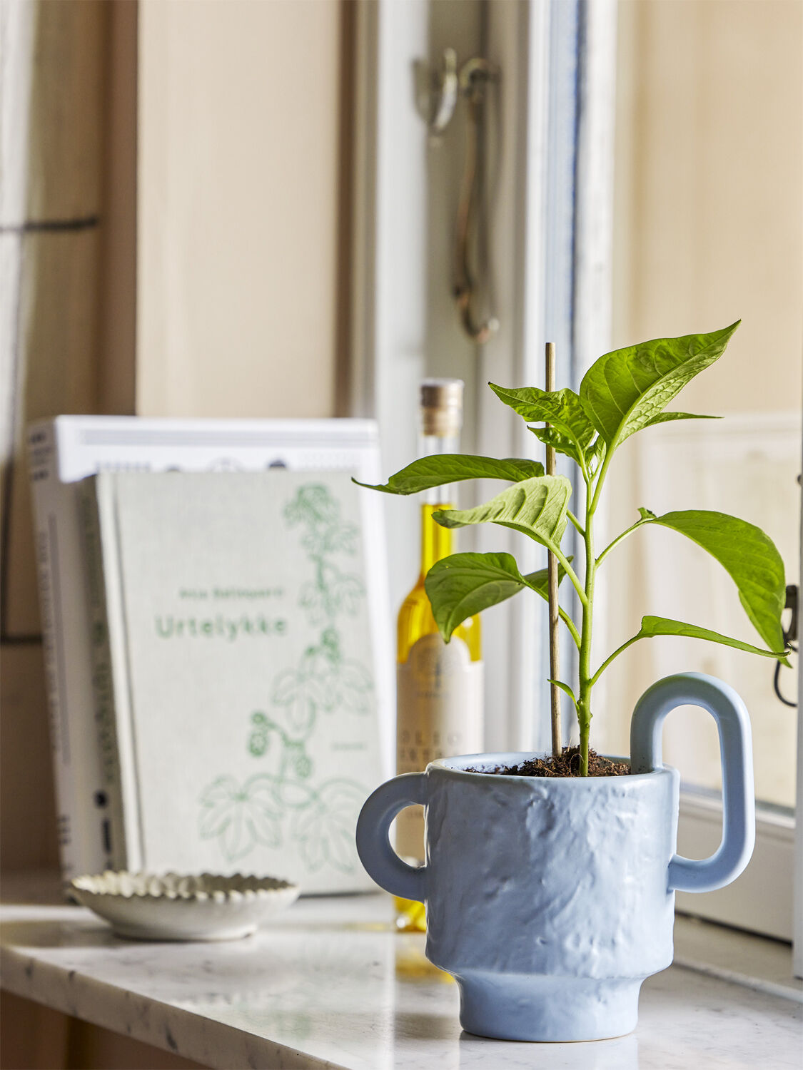 Alfine Urtepotteskjuler, Bl&aring;, Stent&oslash;j