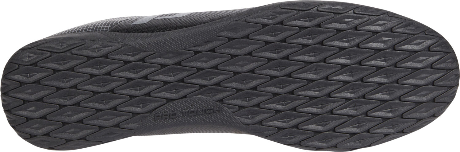 Evolution Indend&oslash;rssko