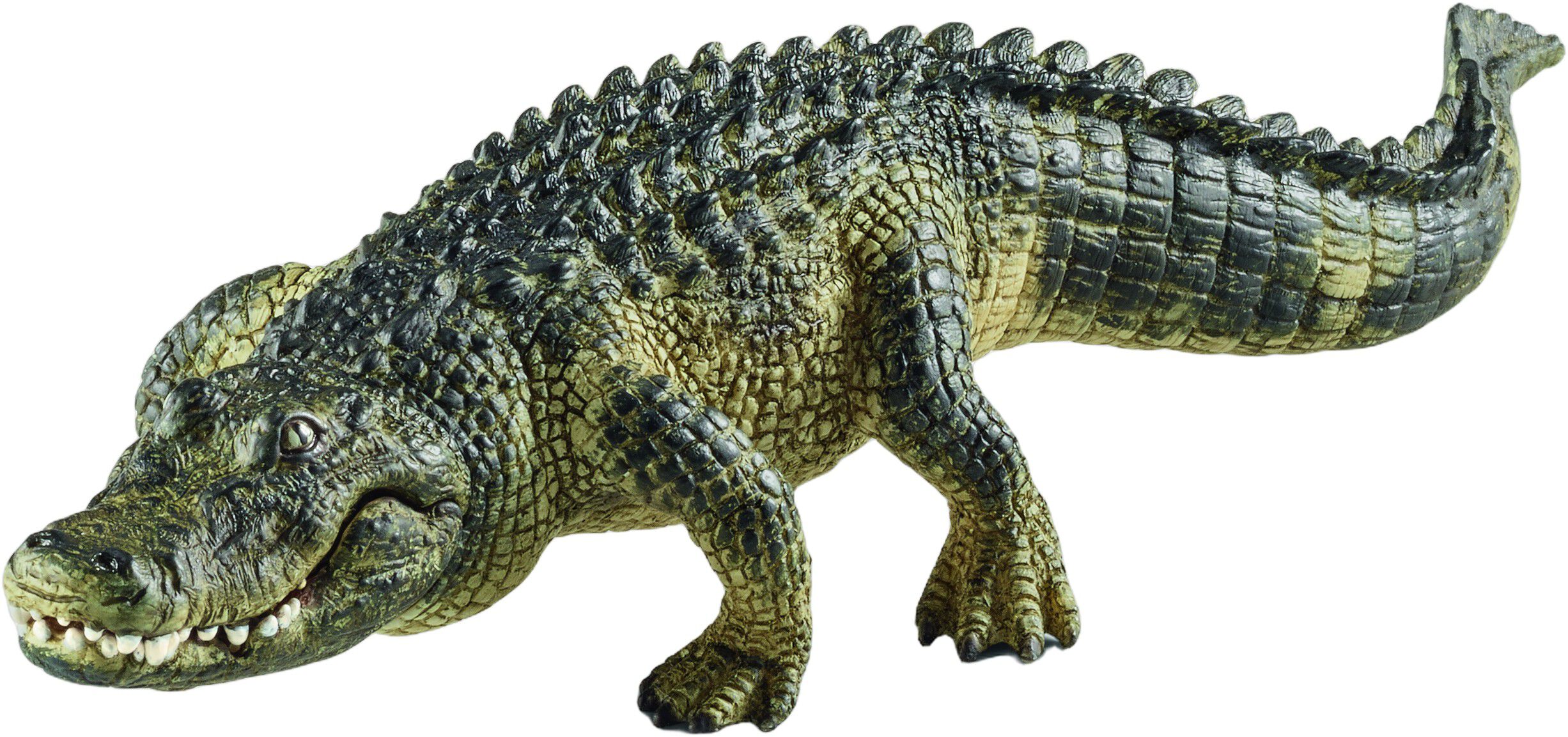 Sch Alligator *Grey