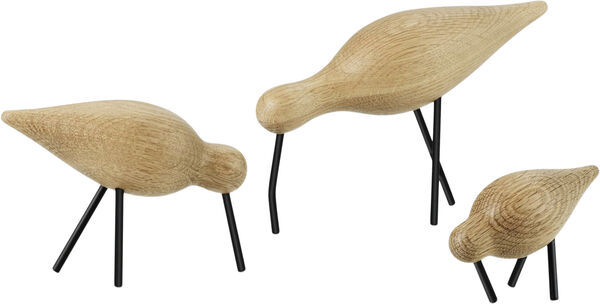 Shorebird stor sort