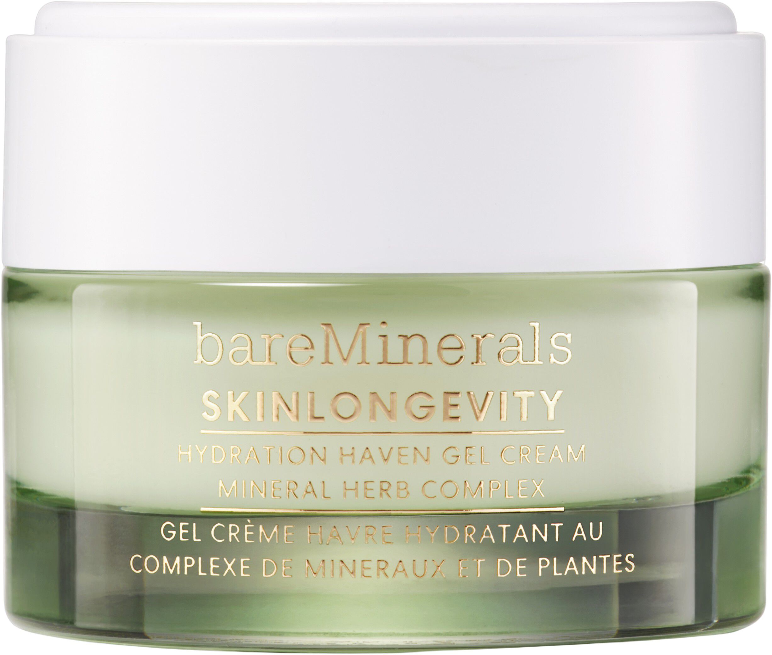 SKINLONGEVITY Hydration Haven Gel Cream