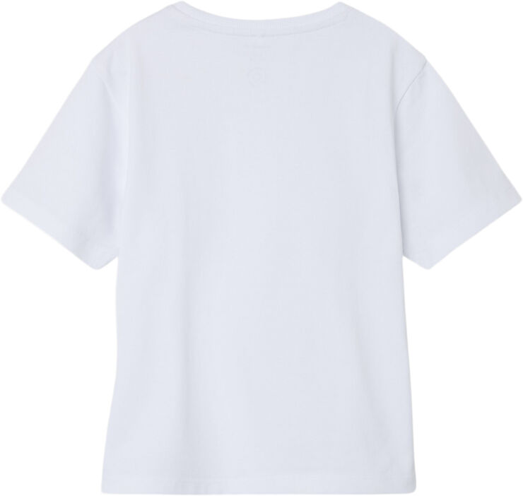 NKMGREG SS NREG TOP NOOS