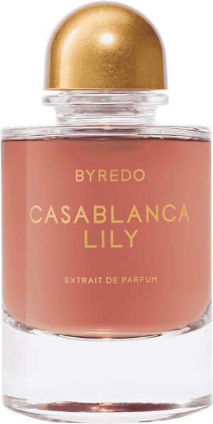 Night Veils Casablanca Lily