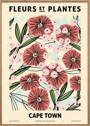Zoe - Fleurs et Plantes - Capetown