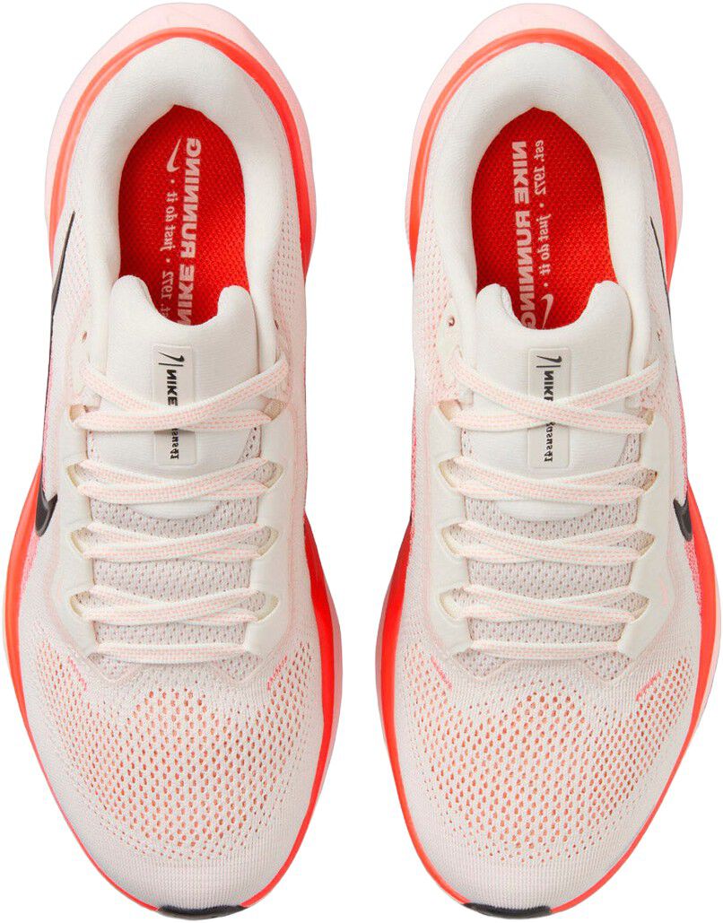 Pegasus 41 L&oslash;besko