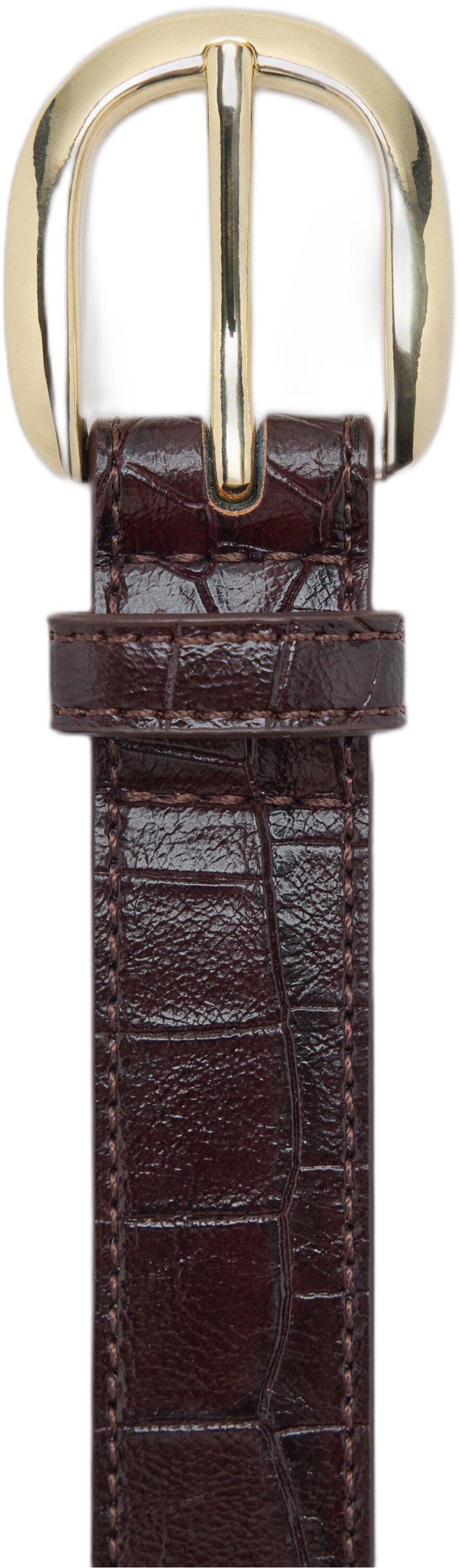 CINTURON COQUIS