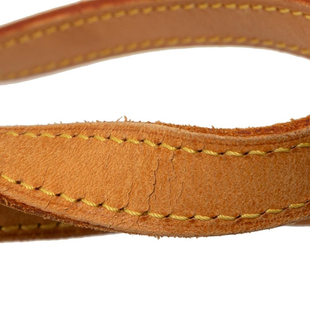 Louis Vuitton Bucket Bag