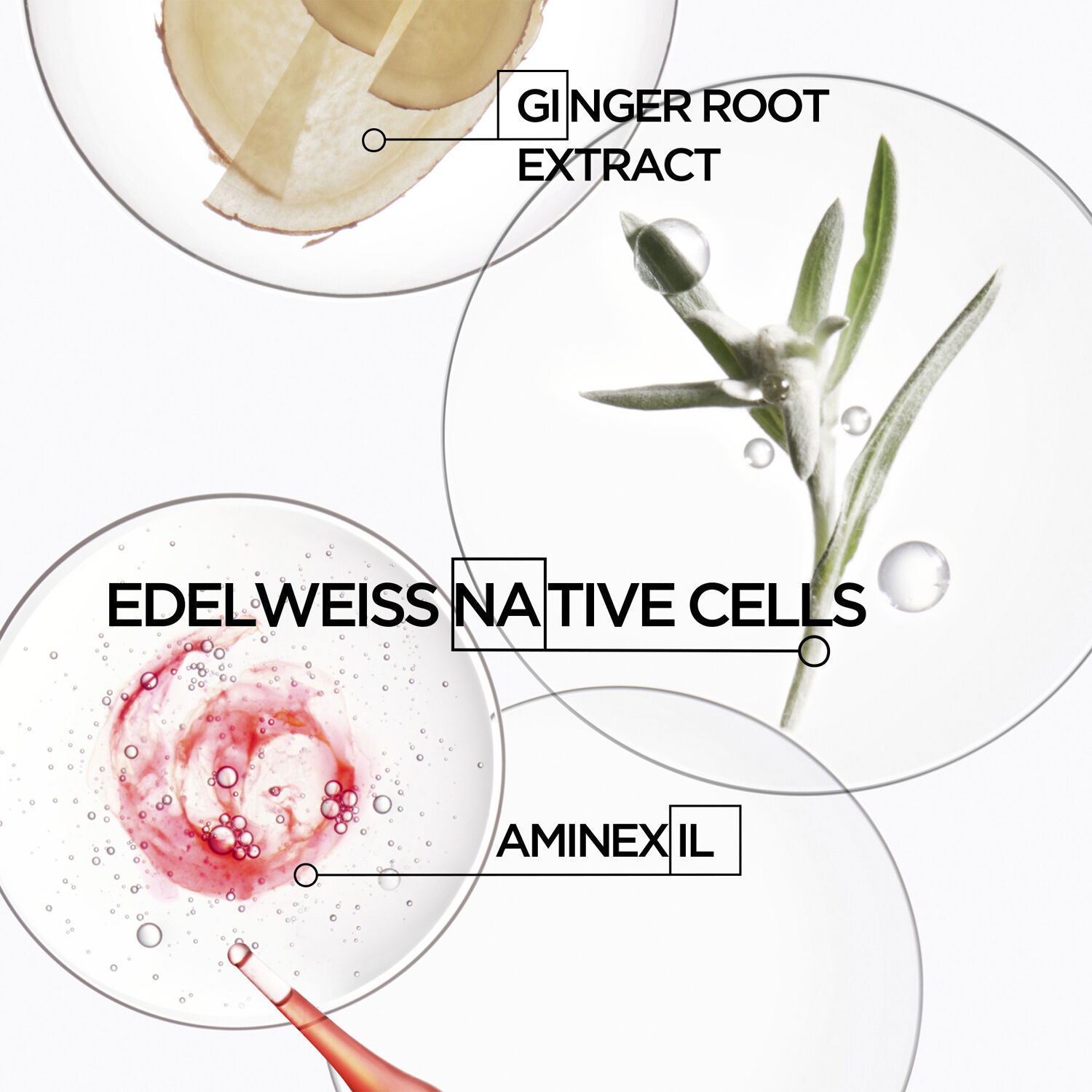 Genesis Homme Bain De Masse &Eacute;paississant