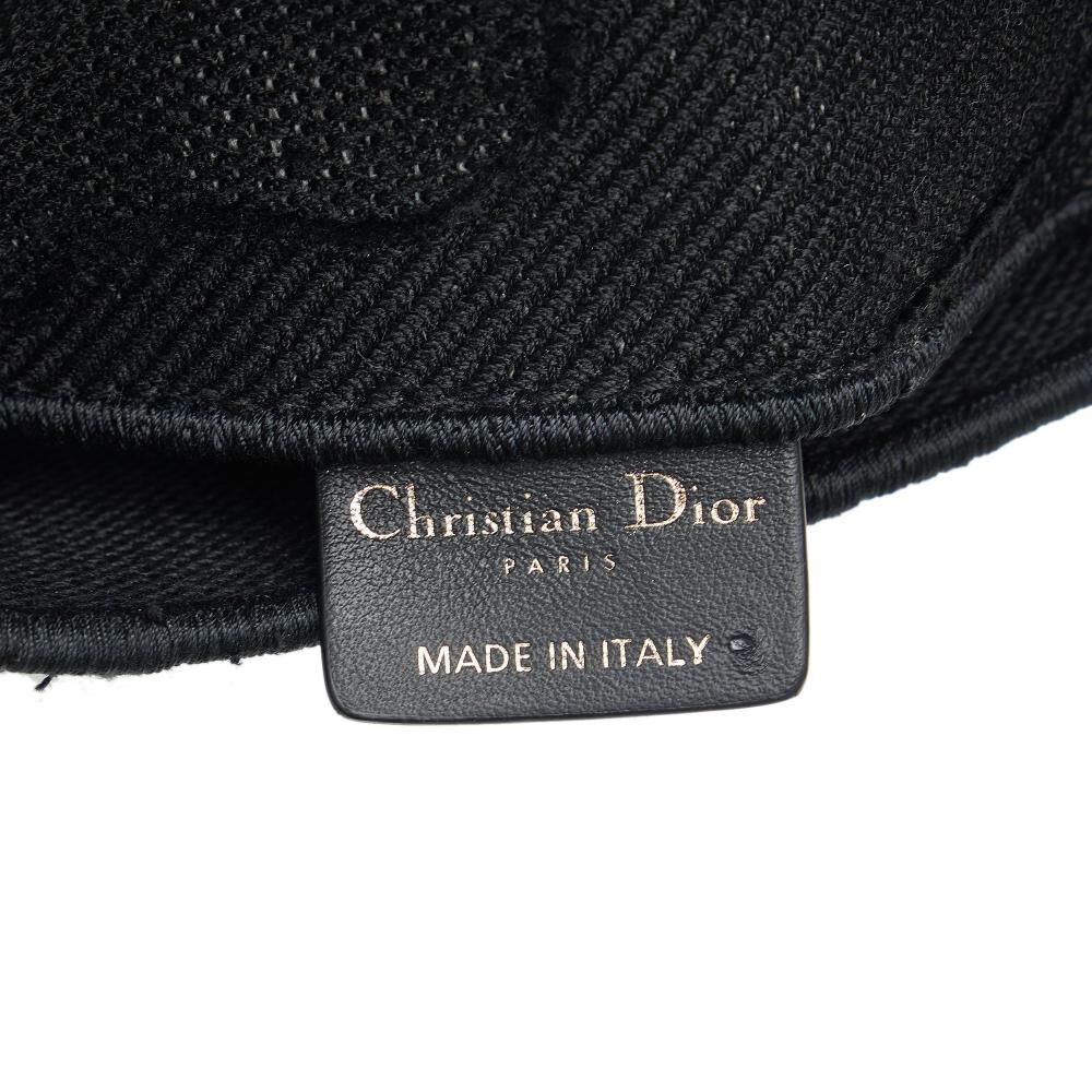 Dior Belt Bag