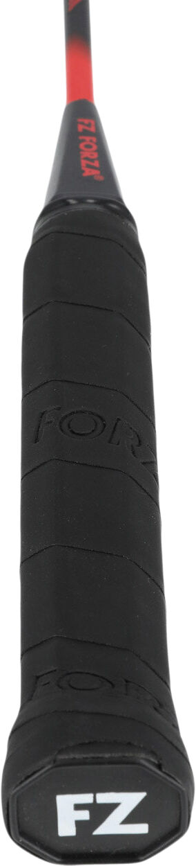 Play 500 Badmintonketcher