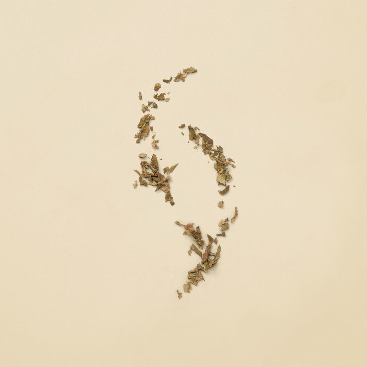 Guilty Revolution Eau De Parfum