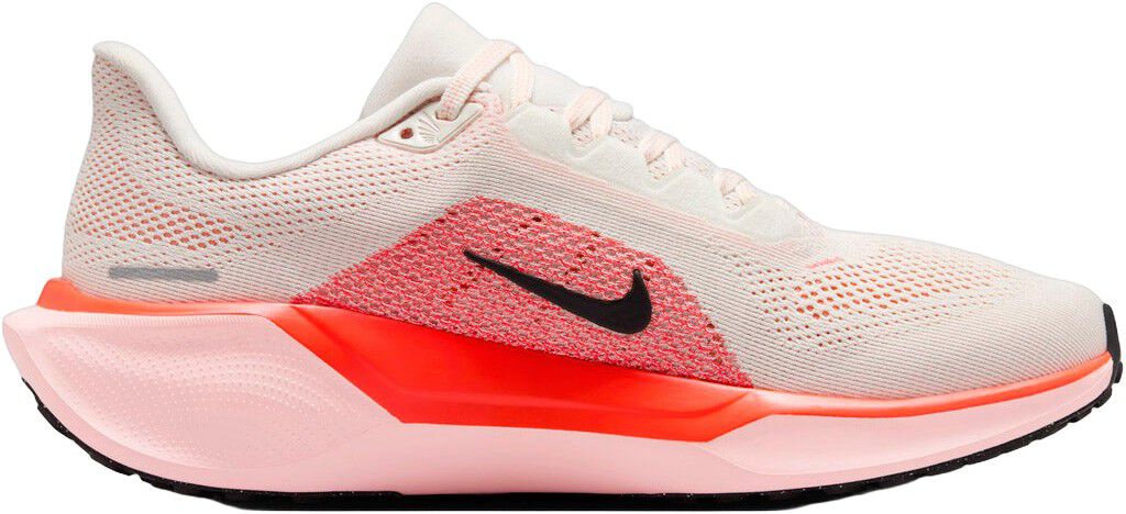 Pegasus 41 L&oslash;besko