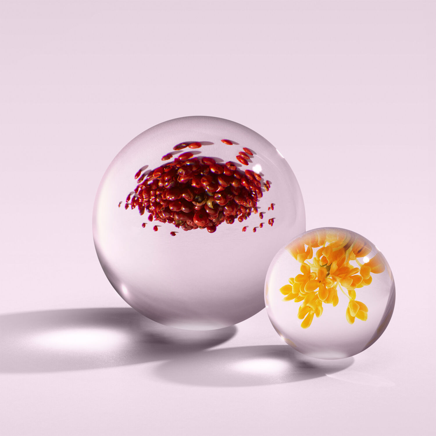 Molton Brown Pink Pepper Eau De Parfum 100 ml