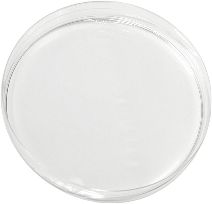 Cerafill Retaliate Stemoxydine 5%