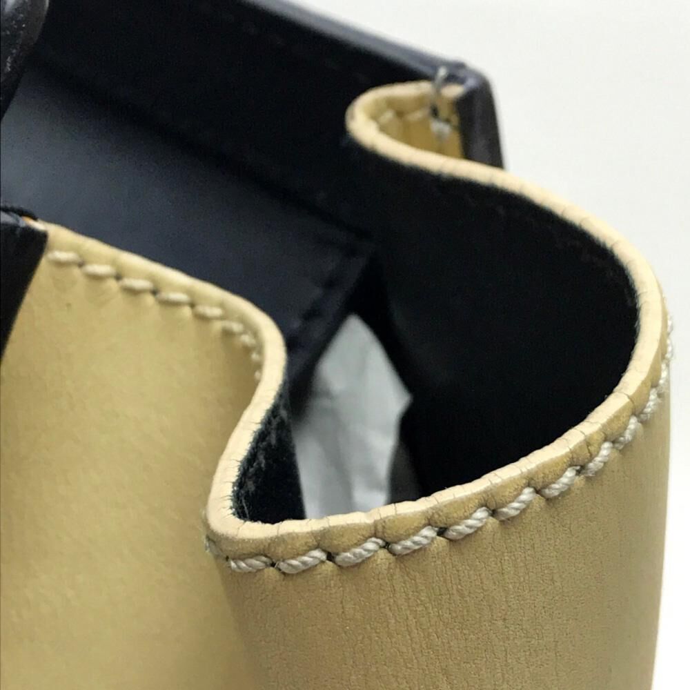 Celine Luggage