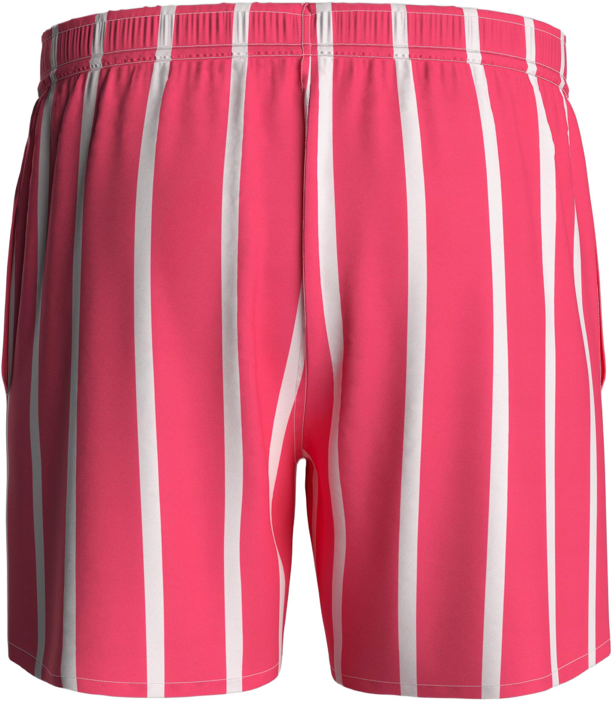 Striped Swim Shorts