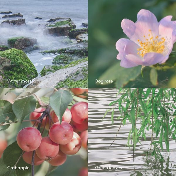 ØY Wash Refill 1000ml