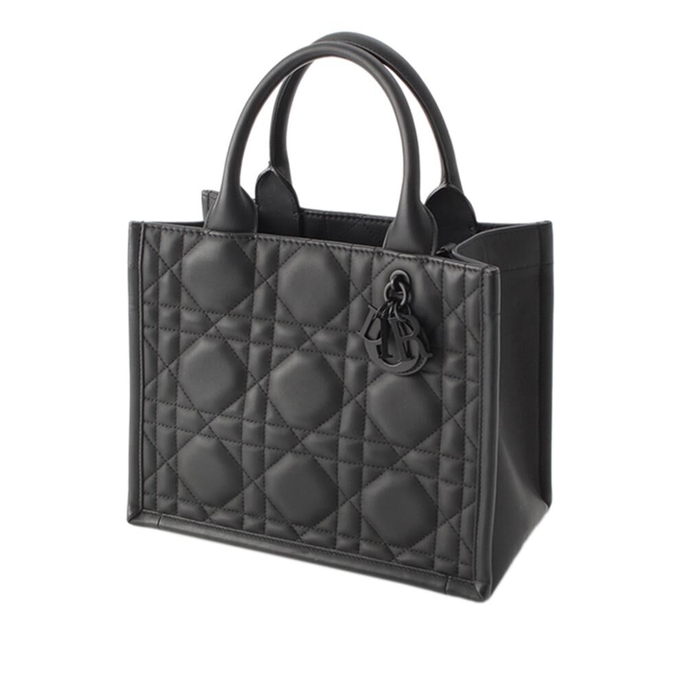 Dior Book Tote