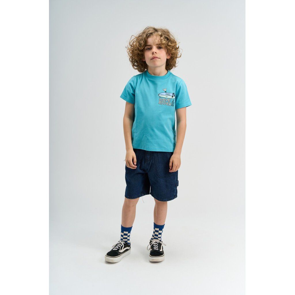 TNSavid Skate Shorts