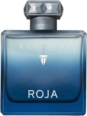 ROJA ELYSIUM EAU INTENSE POUR HOMME EDP 100 ML