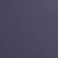 RENO LE VERNIS COSMIQ 371