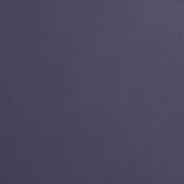 RENO LE VERNIS COSMIQ 371