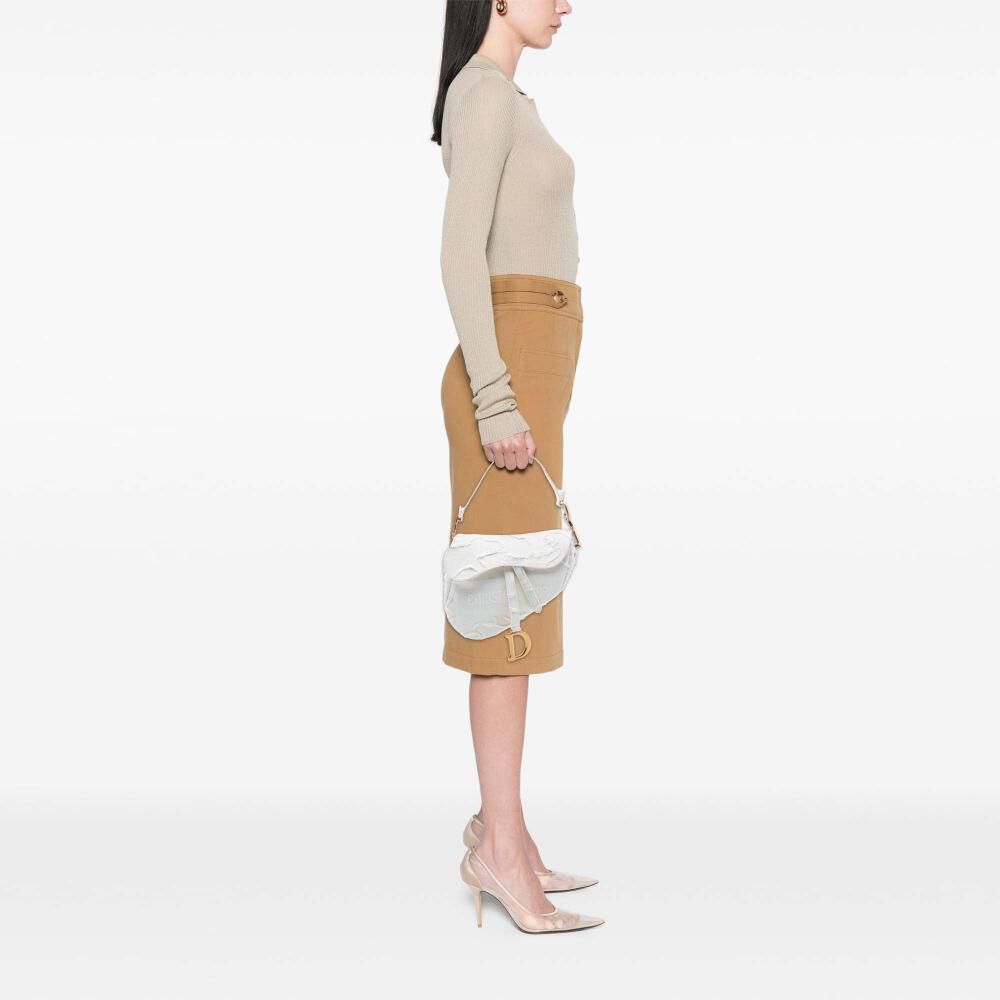 Dior Saddle Bag