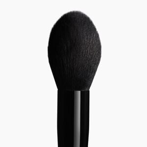 Powder Brush