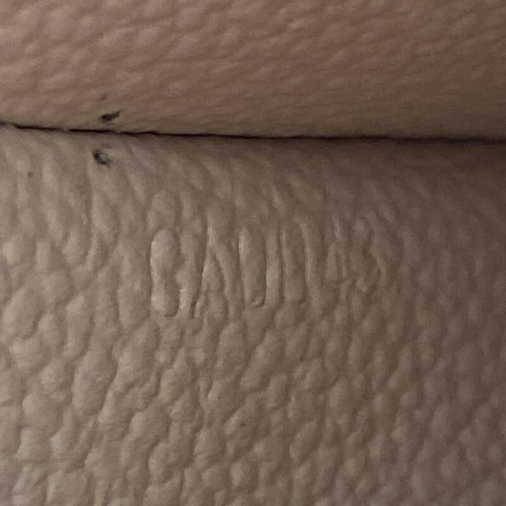 Louis Vuitton Cosmetic Pouch