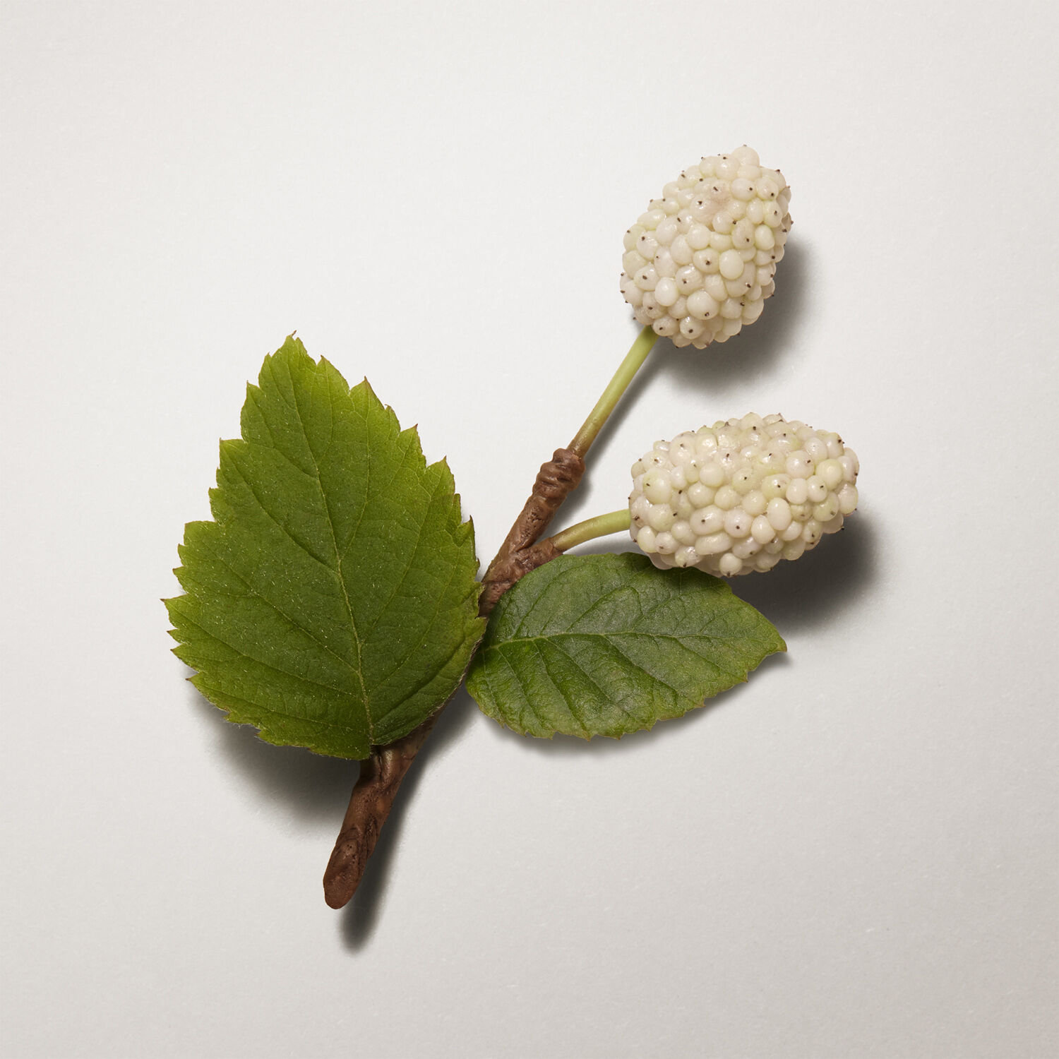 Herm&egrave;s Plein Air, Complexion Balm SPF 30