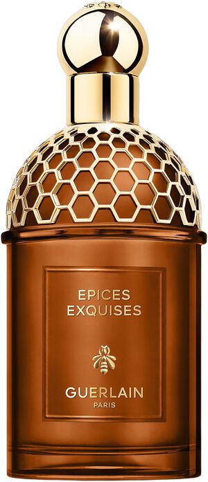 ABSOLUS A. EPICES EXQUISES 125ML