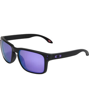 Oakley Holbrook