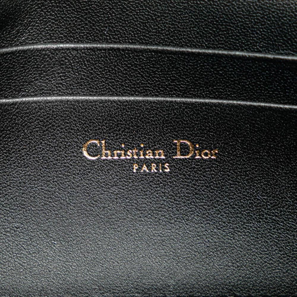 Dior Crossbody Bag