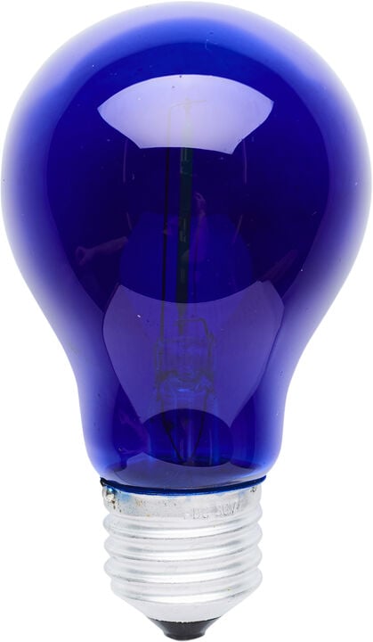 Tobias, Reservepære, Blå