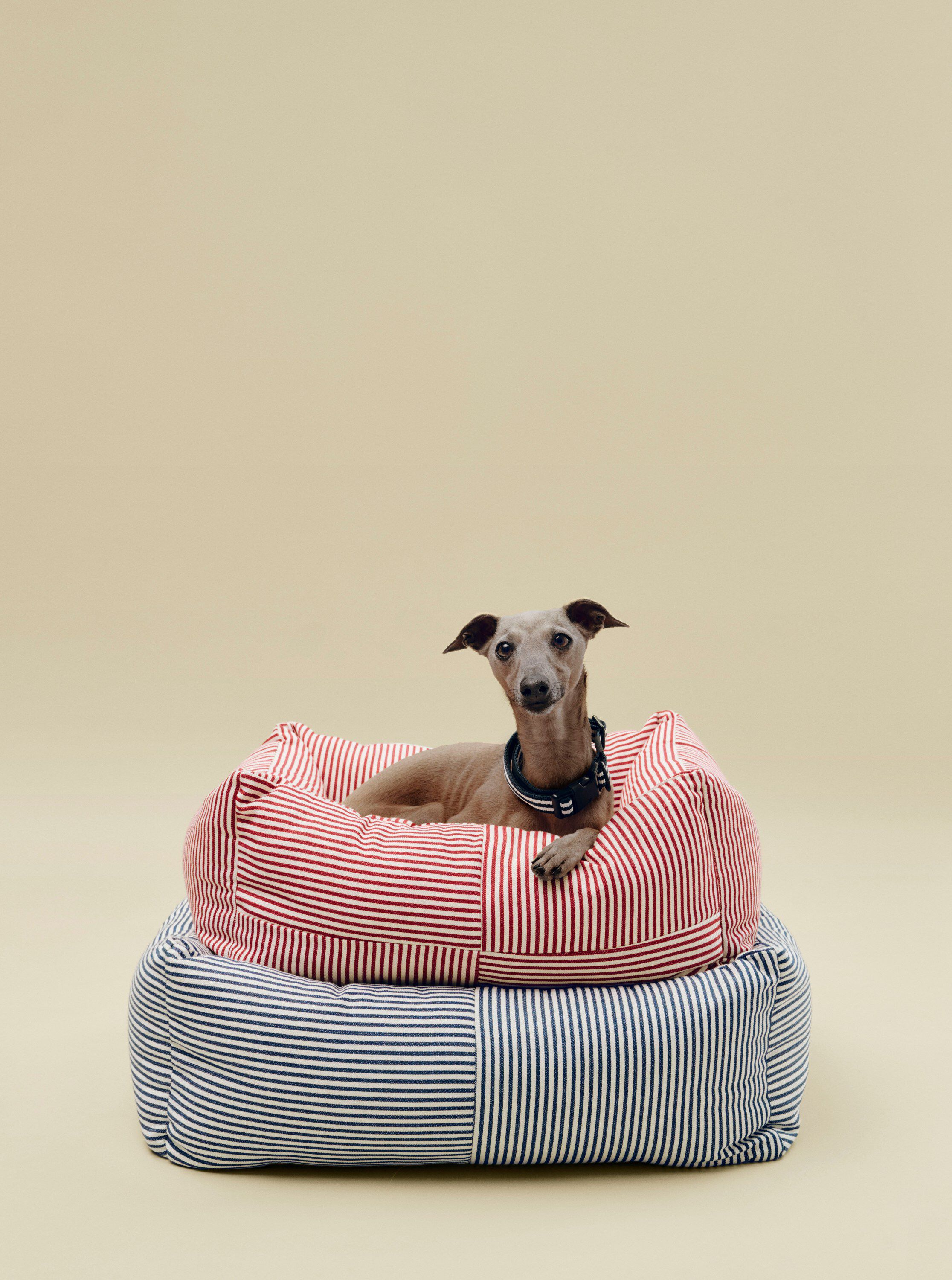 HAY Dogs Bed Zip-Small-Blue and whi