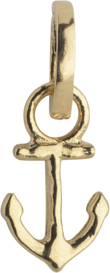 Charm, Steady Anchor